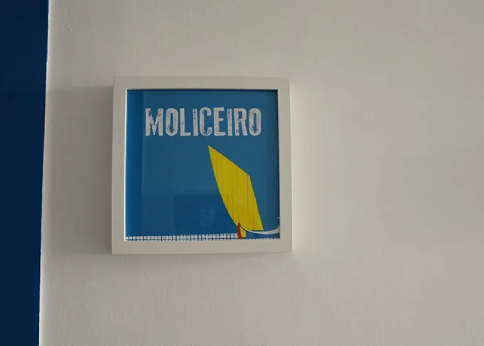 Ponto De Abrigo * Aveiro